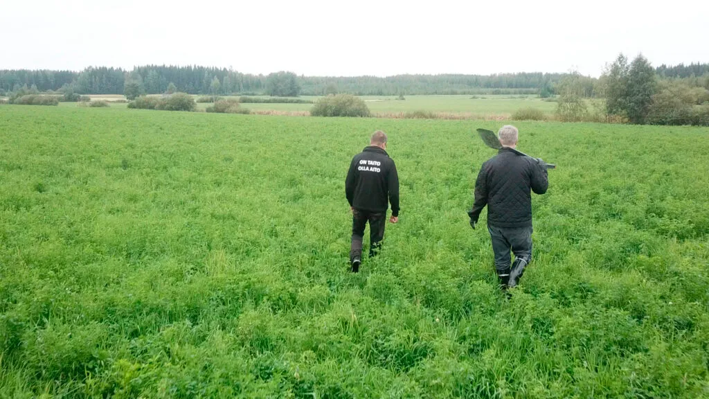 Kampen mot klimatförändringen pågår även under jorden: ”Smart vallodling ger bättre skördar och binder mer koldioxid”