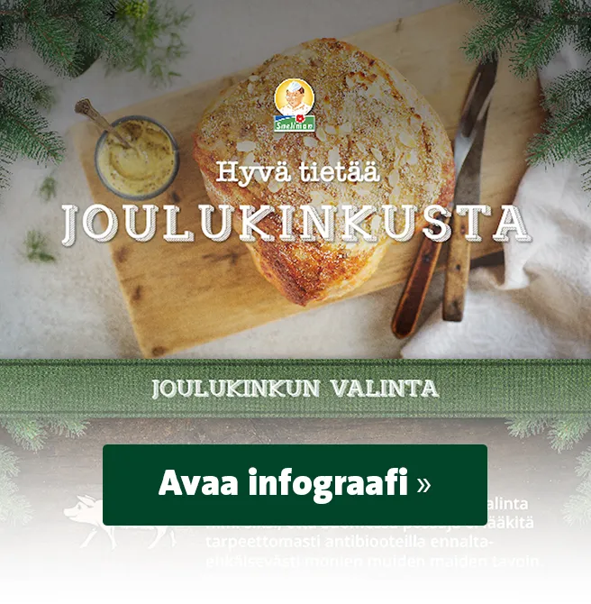 Avaa Hyvä tietää joulukinkusta -infograafi