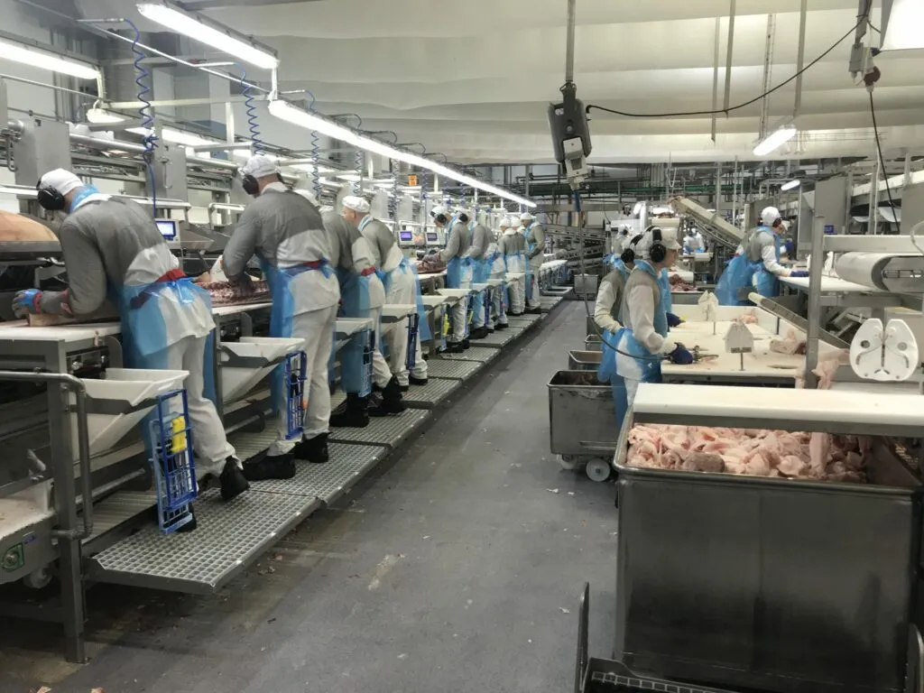 Varhaisen tuen malli auttaa työntekijää ylä- ja alamäessä: ”Jokaisen on tunnettava tekevänsä merkityksellistä työtä ja kokea itsensä tarpeelliseksi”