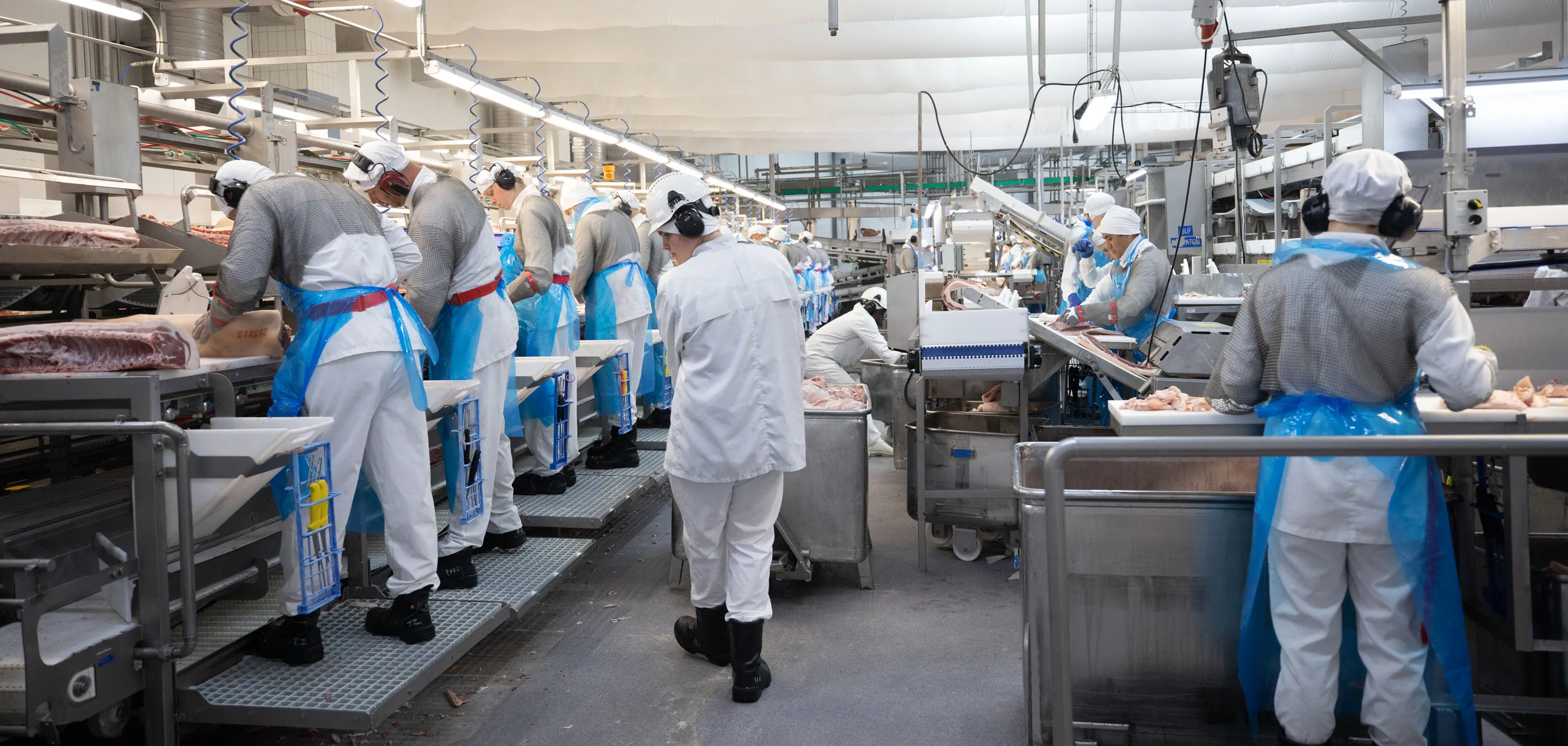 Sommaren 2026 på Snellmans? Sök nu!