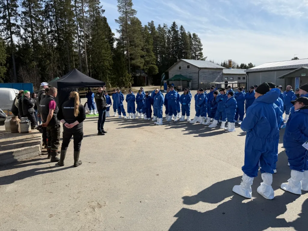 Maitotilan arkea ja suuria kysymyksiä – Viinamäen tila avasi ovensa kehityspäiville